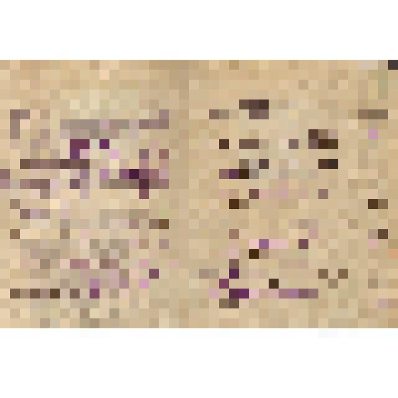 Военный билет полковника Бохона А.А. ( № МЯ 02658)