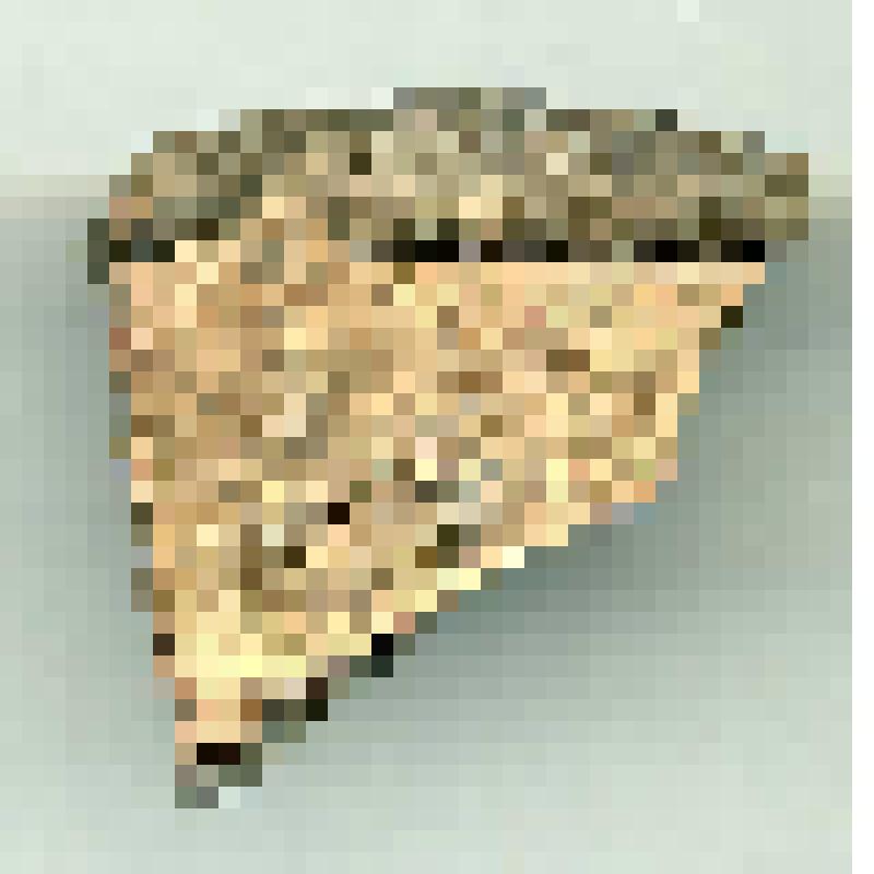 Горшок (фрагмент)