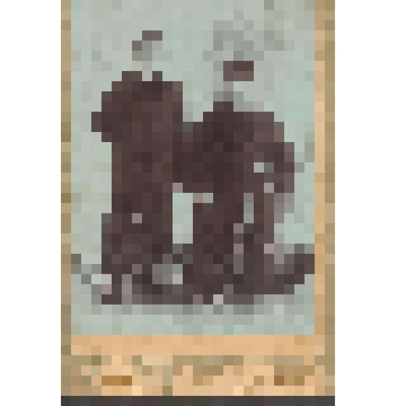 Фотоснимок ч/б, портретный в рост. Братья Борисовы