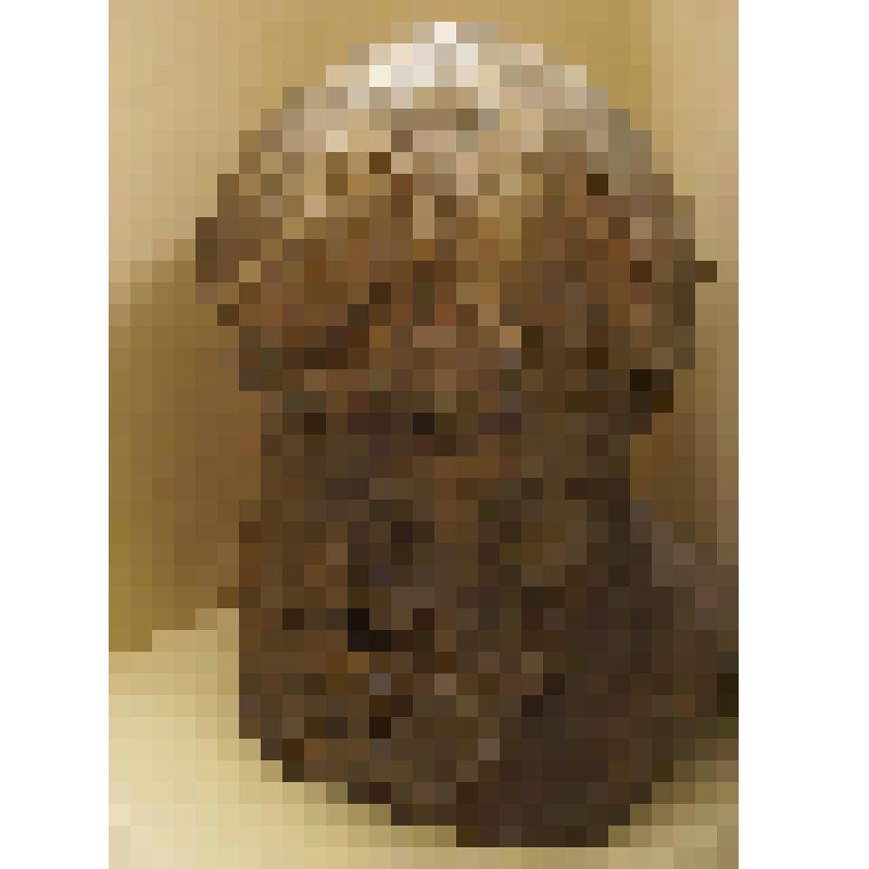 Скульптура "Портрет скульптора Д. Ю. Митлянского"