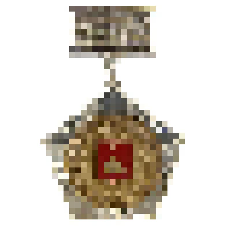 Знак наградной. Почетный гражданин города Перми