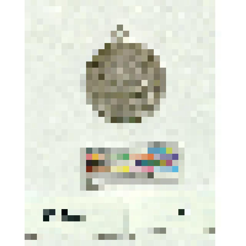 Рига. Медаль. 700-летие города. (с ушком)