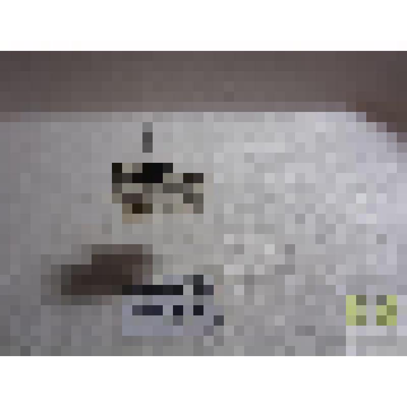 Быстряк Мюллера  (Agonum mulleri Hbst.)