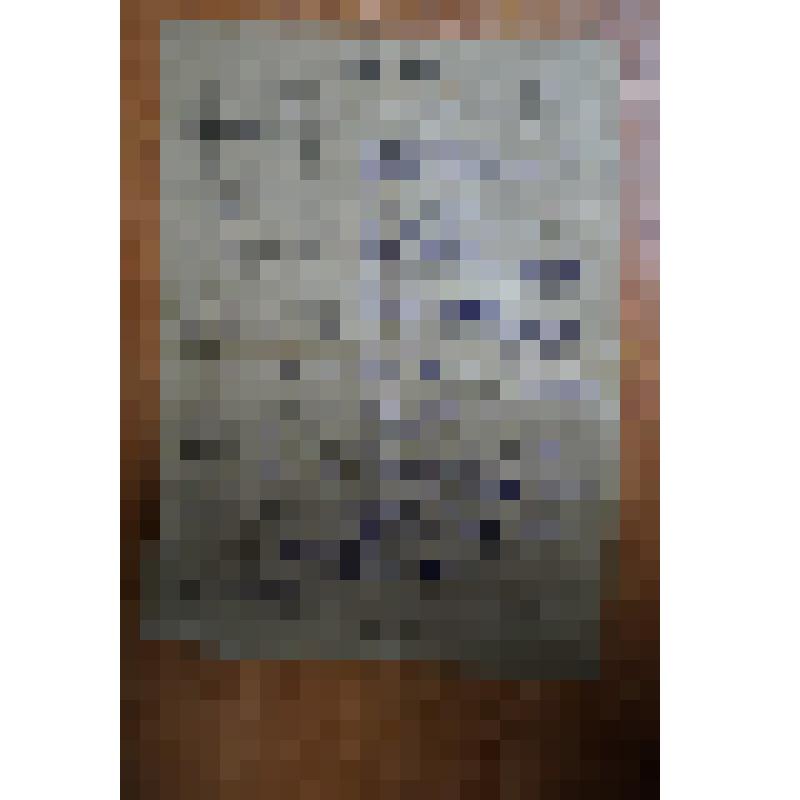 Книжка трудовая Авдеева И.И. (копия)