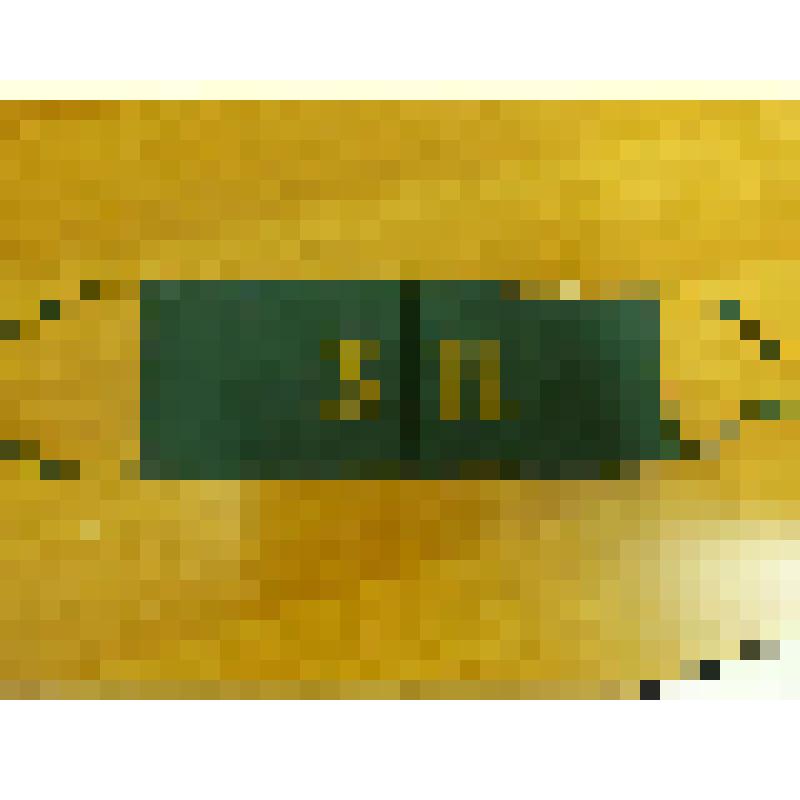 Повязка зеленого патруля