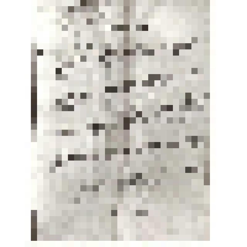 Фотокопия. Фотокопия характеристики на бойца Дикареву(Смагину) Н.Г.1945г