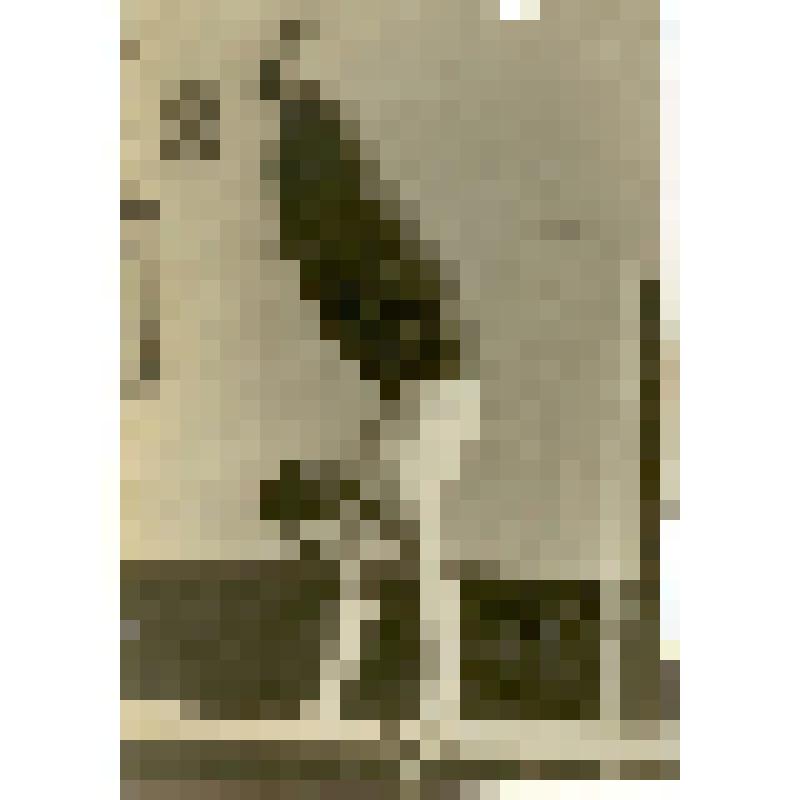 Фотография. Круглый Моисей Маркович - преподаватель гимнастики детской спортивной школы  городского отдела народного образования. Вертикальная стойка на двух руках на брусьях