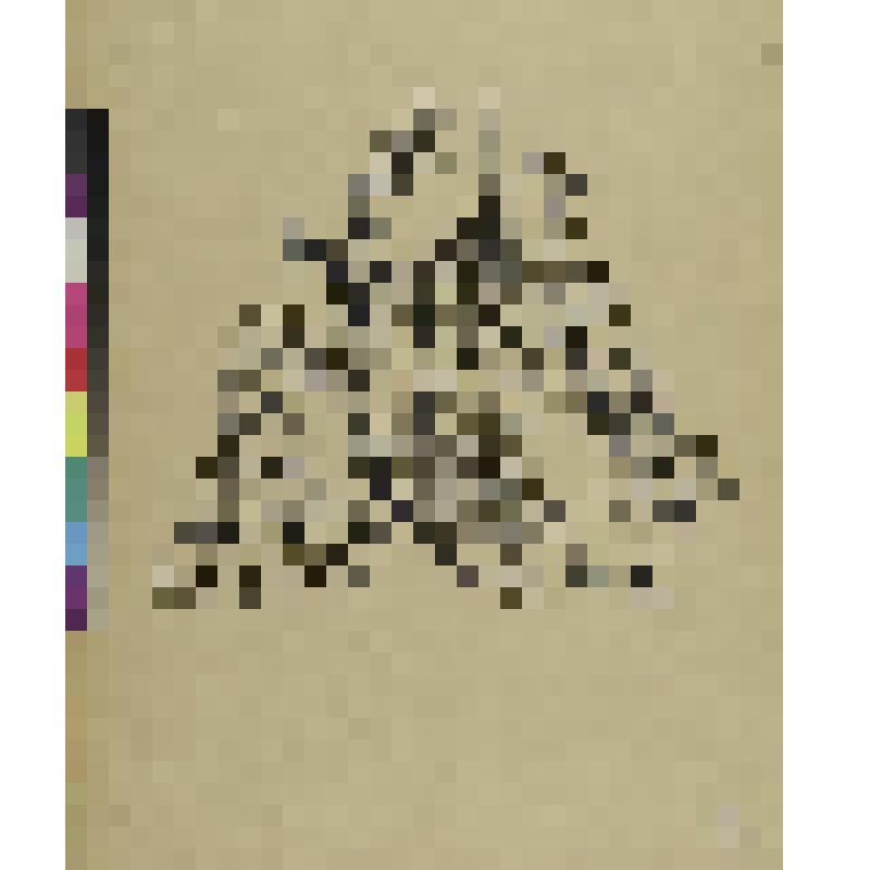 Отдыхающая танцовщица, гравюра