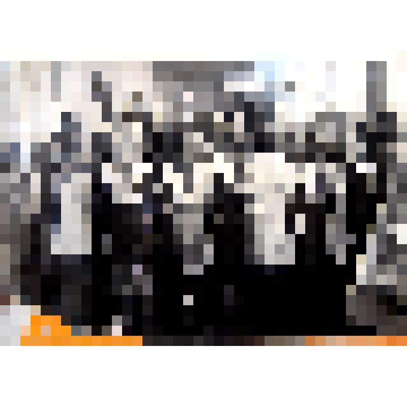 Фотография из папки «Дом детского творчества», часть 2: первый руководитель хора Шишаков Аркадий Алексеевич, ч/б