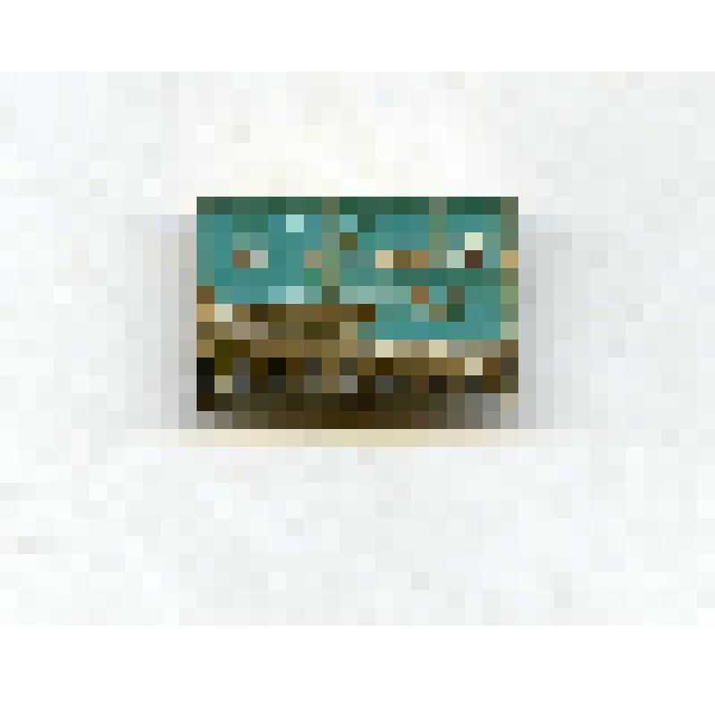 Значок "Осетрово". Из коллекции значков Самсоновой К.П