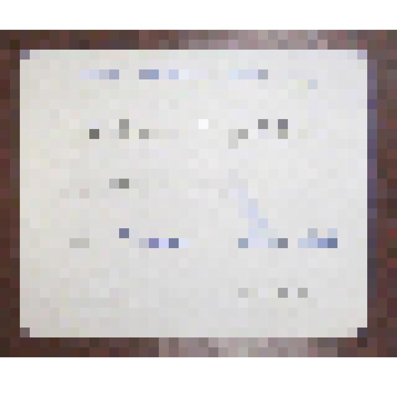 Пригласительный билет А.И.Степановой