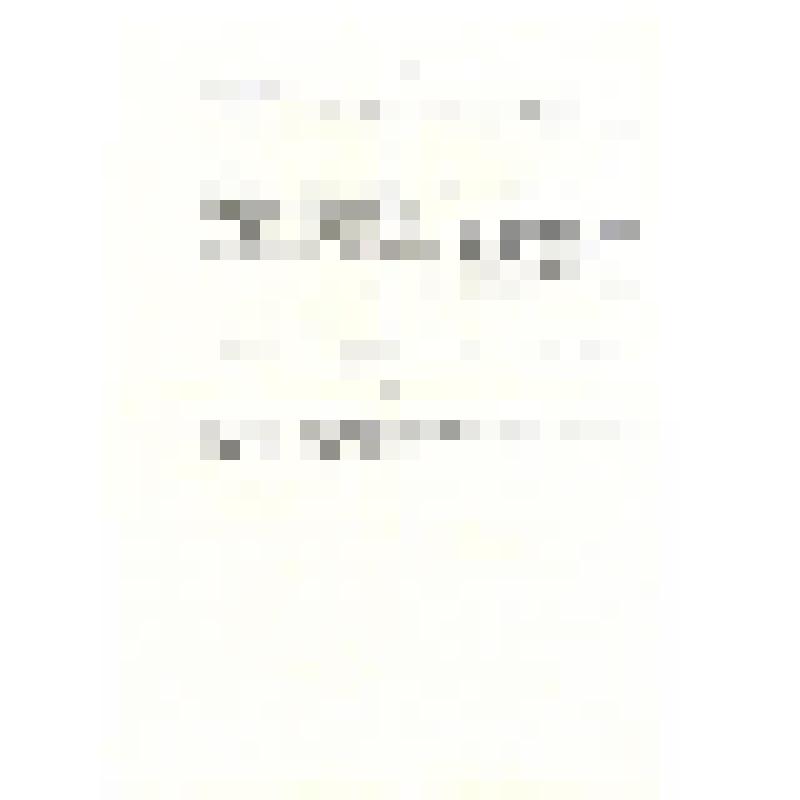 Приложение к письму Степановой А.И.:  Письмо Липпе Юста к неуст. лицу с обращением, на русском языке