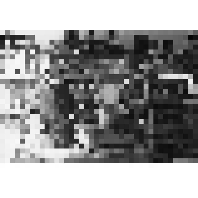 Тращенко Петр Федорович проводит осмотр места происшествия в магазине хутора Бирючий (с.Самарское)