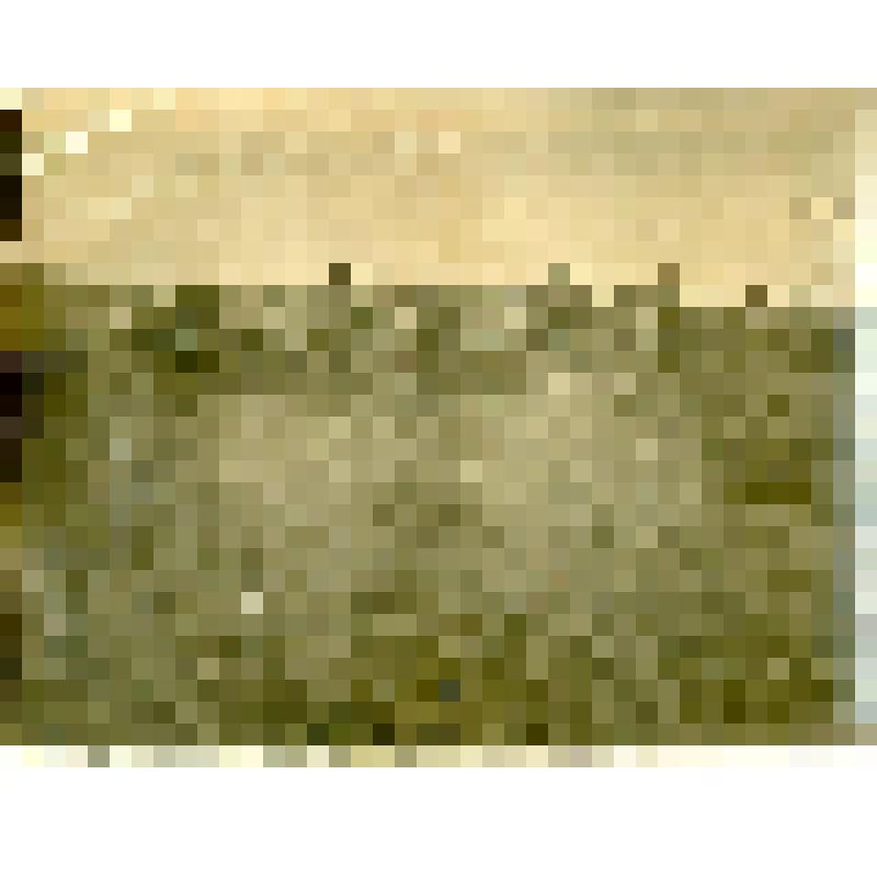 Фотография. Перекочевка в долине р. Кандей