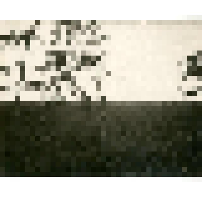 Фотография. Вид тундры