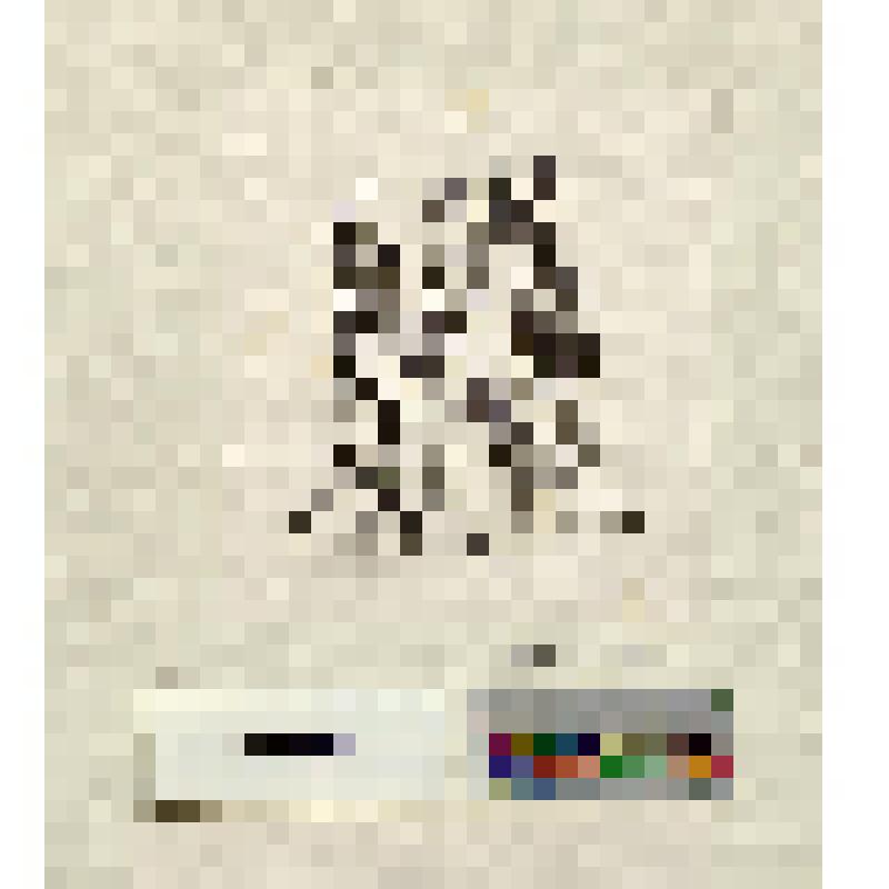 Человек принимающий позу стоит перед зеркалом