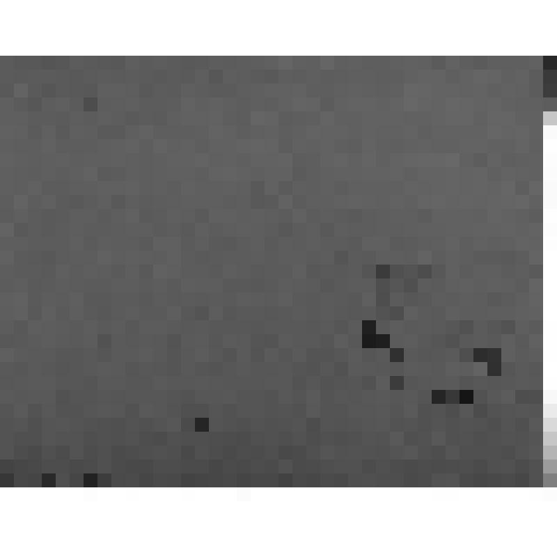 «Композиция». Этюд