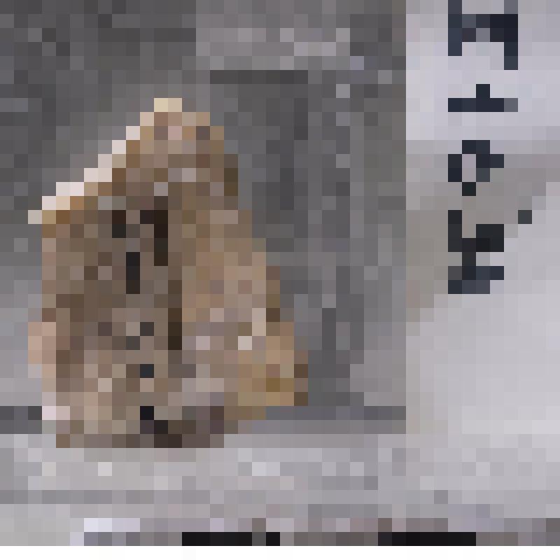 Кусок строительного материала с надписью