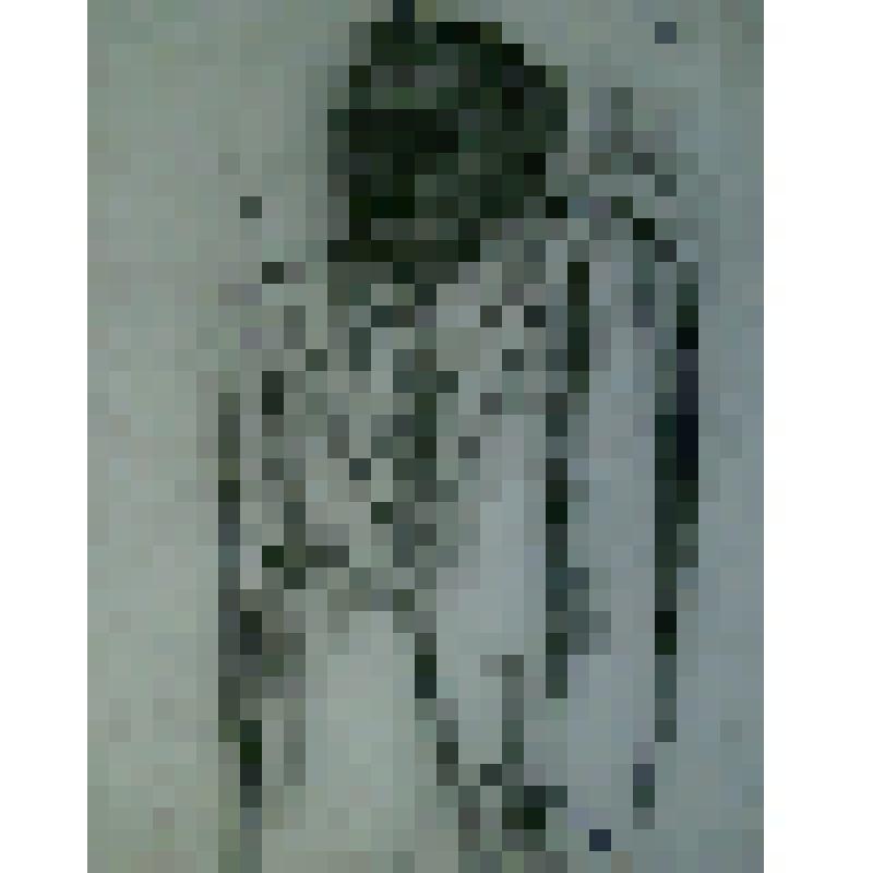 Дмитрий Шостакович