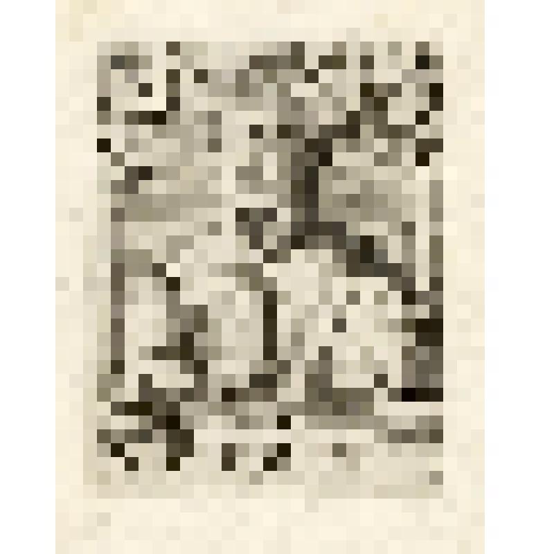 Иоанн Кохлеус, Кохле́й (1479-1552) — немецкий гуманист, католический богослов, теоретик музыки. Настоящее имя — Добенек. фонд западноевропейского  гравированного портрета