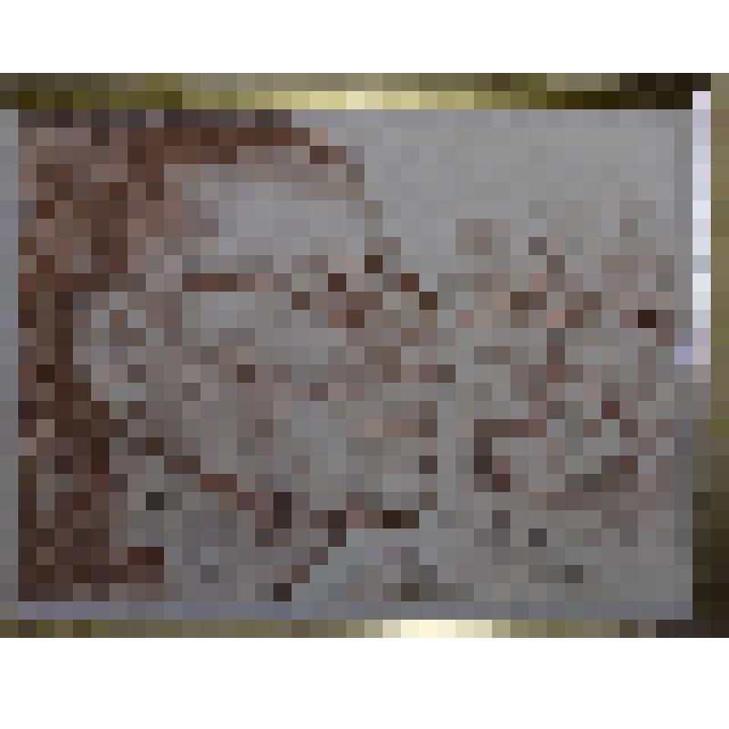 «Минусинская поэтесса Галина Канкеева». Рисунок