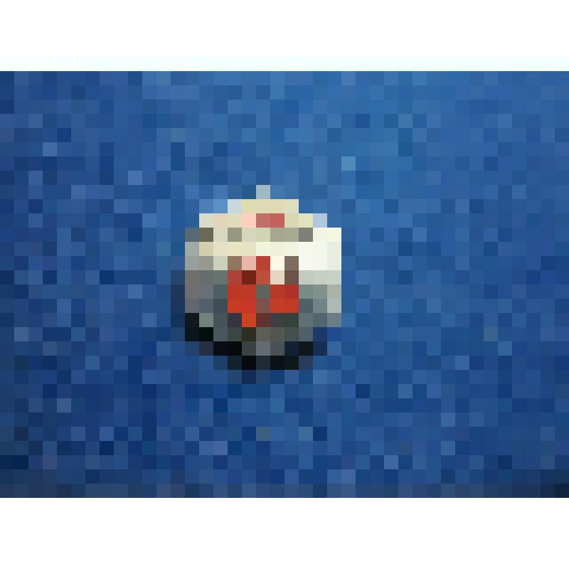 Значок. Сыктывкар - Минводы. 1959