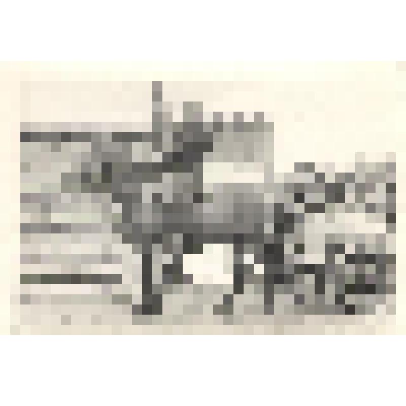 Фотография сюжетная