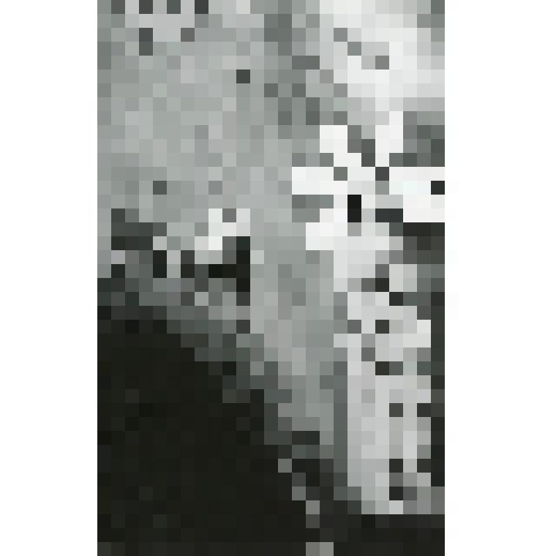 Фотография. П. Дубашинский в р. Кактуса, в рост, профиль влево; Л. Буруева в р. Белоснежки, погрудно, 3/4 вправо, обняла кактус; Н. Кочеткова в р. Ромашки, в рост, фас. "Белоснежка и семь гномов" (пост. А. Андросик, худ. Б. Герлован, комп. Э. Колмановский