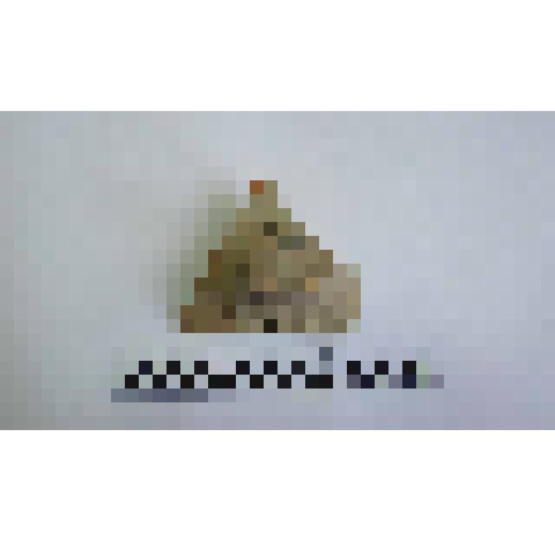 Ручка амфоры типа Зеест 72