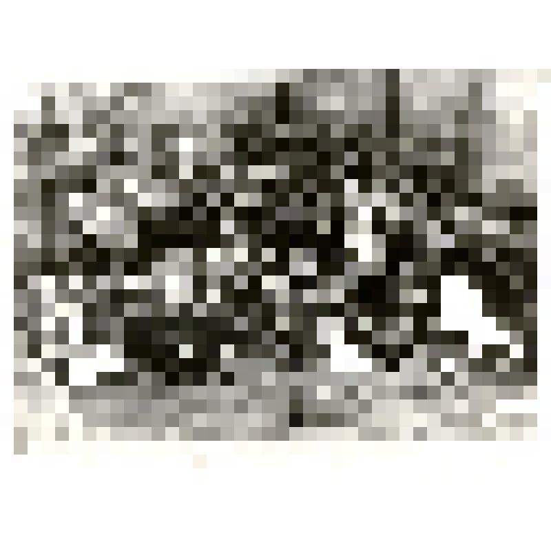 Фотопортрет. На встрече ветеранов войны и оркестра народных инструментов Семикаракорского Дома пионеров