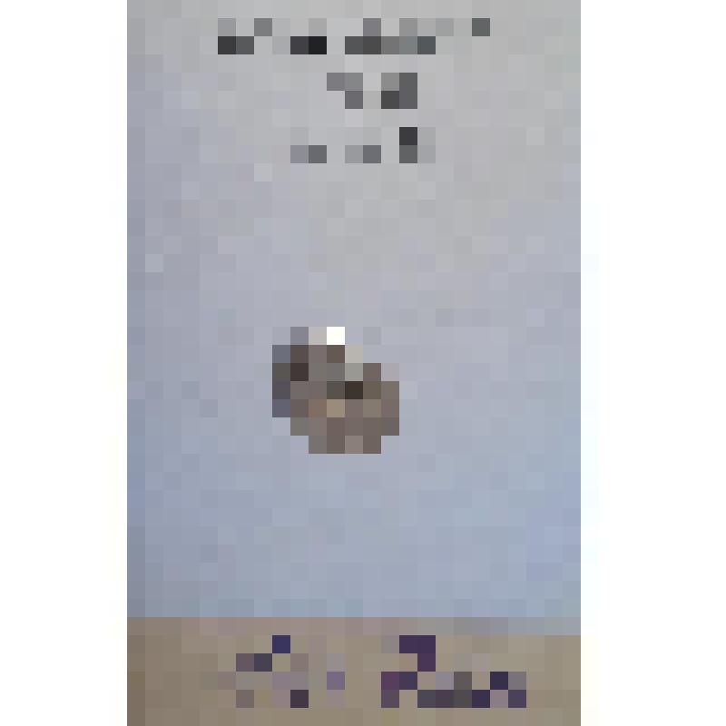 Монета Копейка