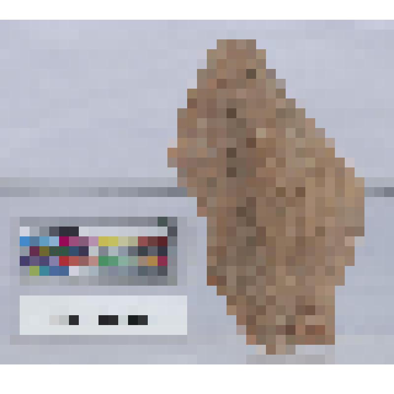 Фрагмент нижней часть статуэтки женщины в длинной одежде