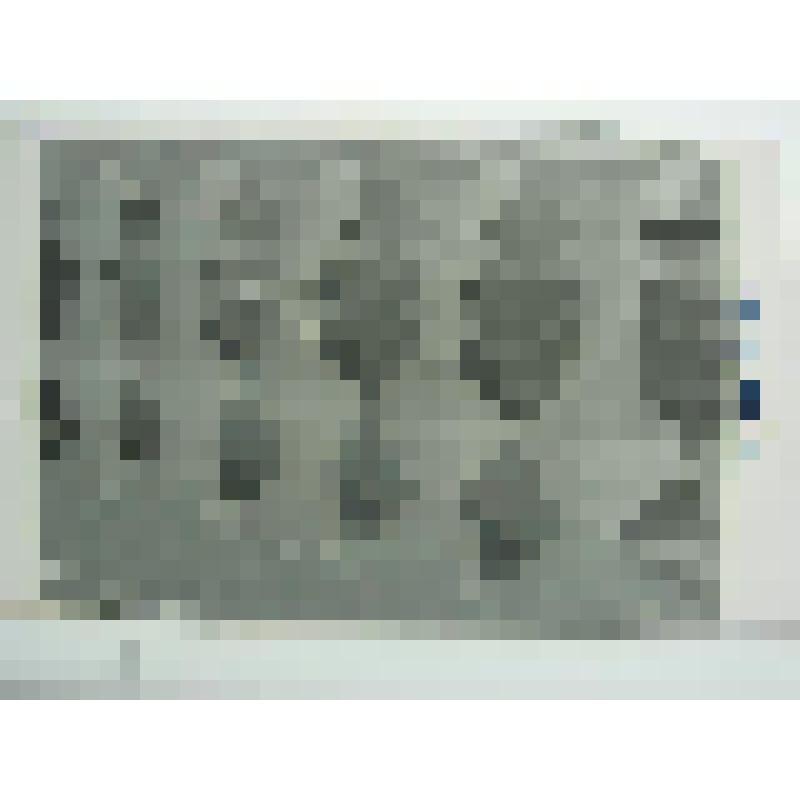 Главный дом. Усадьба Отрада. 1775-1777 гг. Московская обл. Ступинский р-н, Семеновское. Усадьба Отрада. Главный дом, 1775-1777 гг. Бабакин; Бланк Карл Иванович (?). Фрагмент балюстрады террасы-ротонды