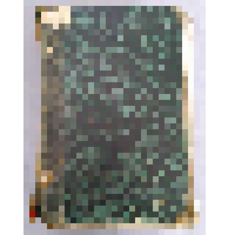 Книга "Иллюстрированная. Жизнь животных. Всеобщая история животного царства А.Брэма"