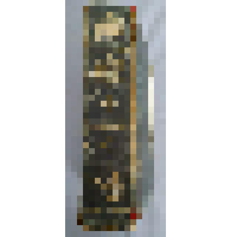 Книга "Иллюстрированная. Жизнь животных. Всеобщая история животного царства А.Брэма"