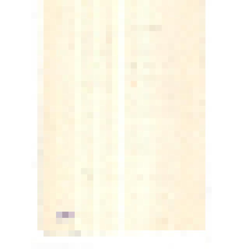 Рапорт Городского Совета п\организации Челябинскому обл.комитету комсомола и обл. совету п/организации 1981 г