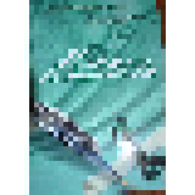 Книга. "На крыльях вдохновения" (на татарском языке). Литературно-художественное издание. Казань, 2008 год