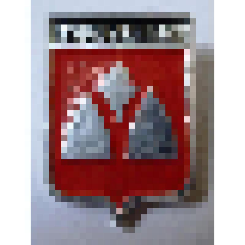 Значок "Герб города Могилев"