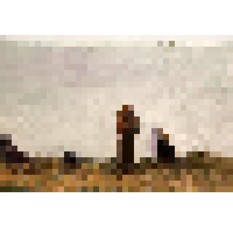 Живопись. Этюд "Салбыкский курган. Жаркий день"