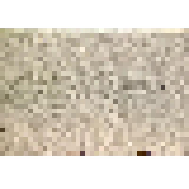 Живопись. Этюд "Салбыкский курган. Жаркий день"