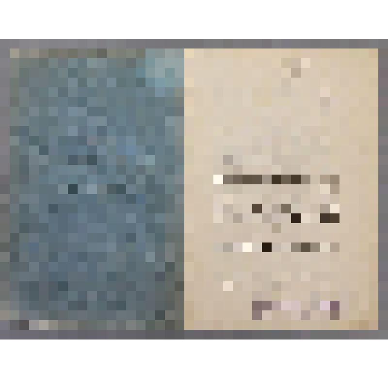 Труды. Известия Геологического Комитета. 1909 год. Т. 28. № 2. - СПб.: Типо-литограф. К. Биркенфельда, 1909. - 45-76, 63-138, [4] с.; 2 табл