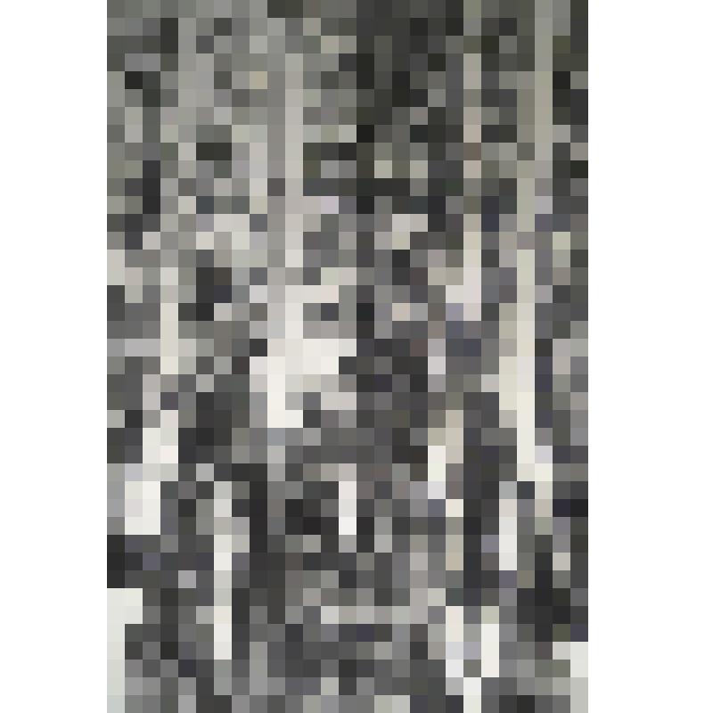 Фотография. "Шрамы"