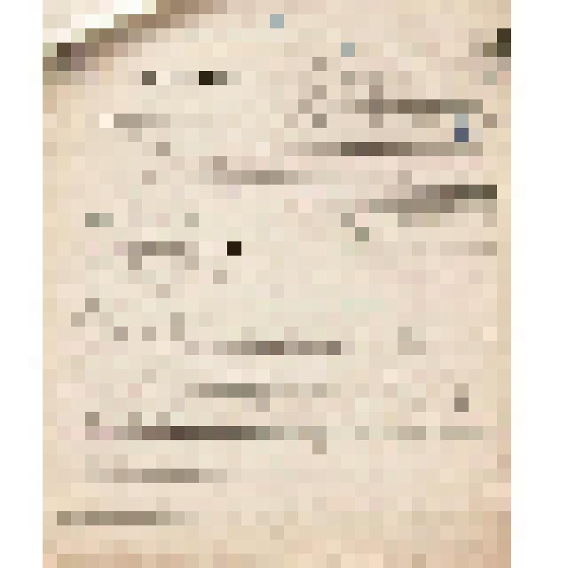 Телеграмма № 596 в г. Чердынь В.Н.Алину от Дидятева из г. Пинеги, 14 июля