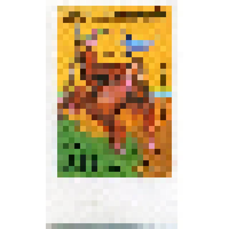 Марка почтовая. Животные. Орангутан (Pongo sp.). Номинал 20 дирхам