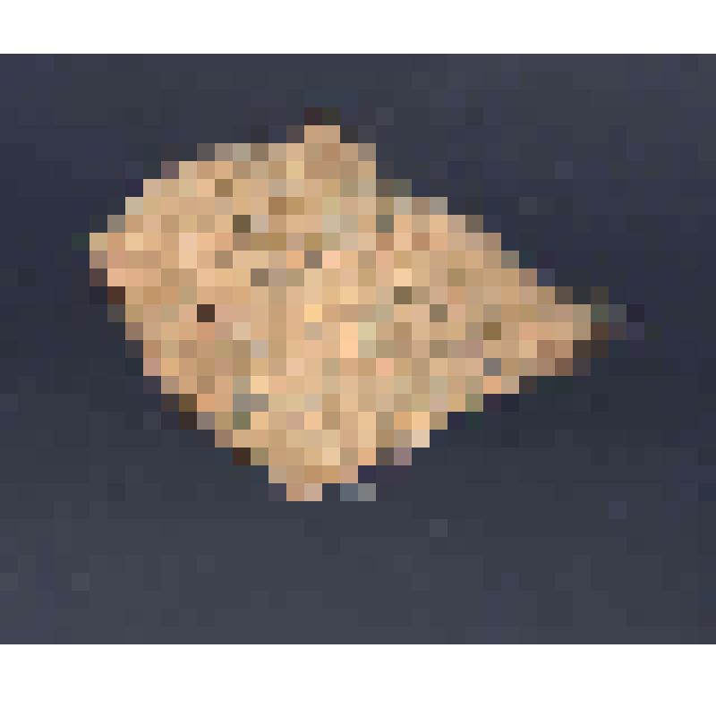 Сосуд (фрагмент)