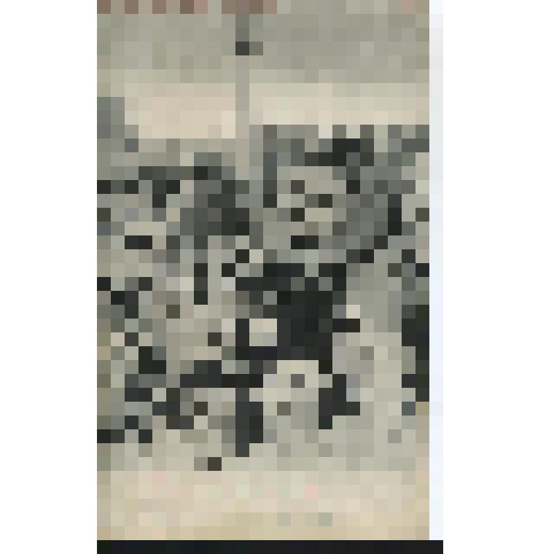 Открытка.Волжские типы и сцены.  «Торговка на Боровской пристани»