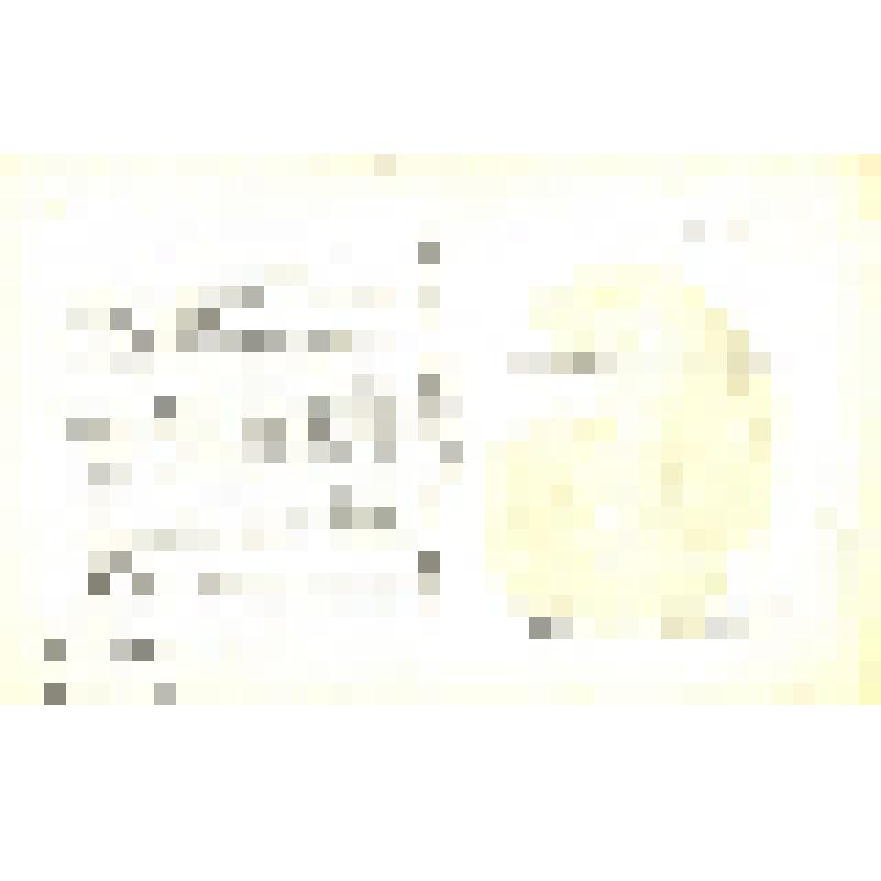 Фото-открытка. Сергей Бондарчук