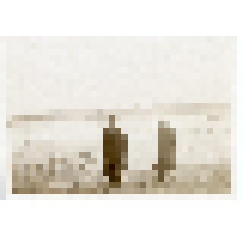 А.В. Винтер и Б.Е.Веденеев на фоне Днепровской плотины