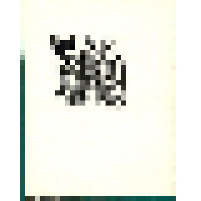 Иллюстрация к повести Кассиля Л.А. "Кондуит и Швамбрания". Графика