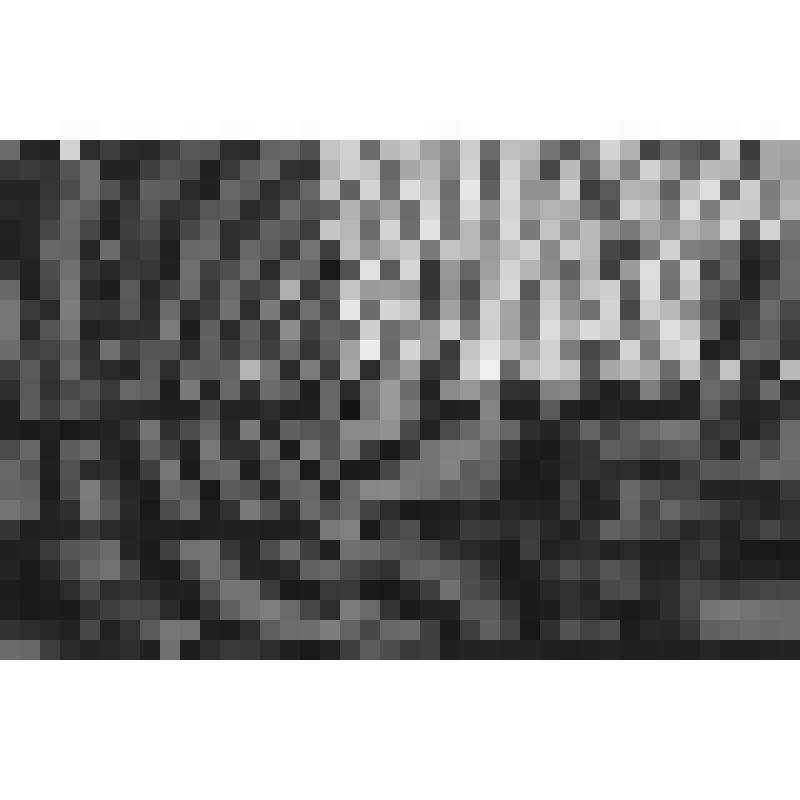 Негатив черно-белый. Порт Архангельска. Тень рабочего на штабеле досок